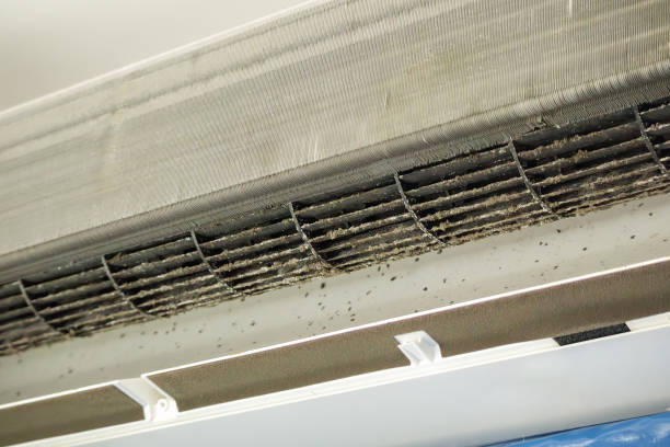 Best Best Air Duct Cleaning Company  in Winter Park, FL